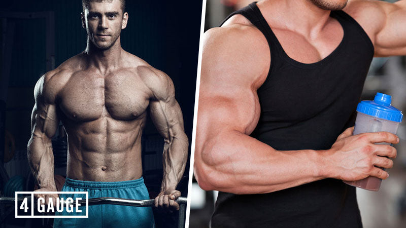 Best Amino Acids for Muscle Growth - Building Block Strength