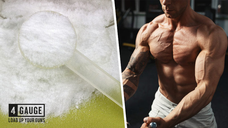 Creatine HCL vs Creatine Monohydrate