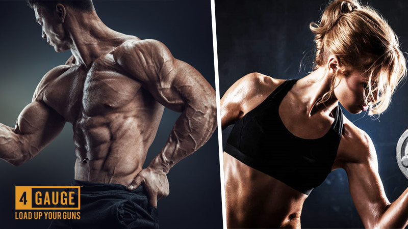 Best Pre Workout Ingredients For Muscle Pumps