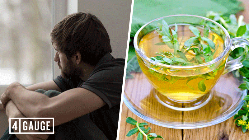 Rhodiola Rosea for Treating Anxiety and Panic Attacks