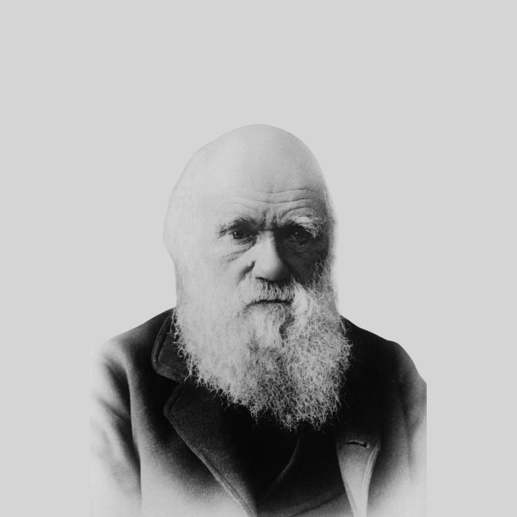 Darwin's famous quote: "A man who dares to waste one hour of time has not discovered the value of life." It applies to fitness and preworkout out too!