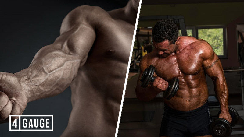 What Causes Vascularity and Can You Improve Muscle Pumps?