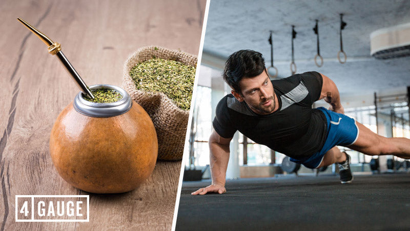 Is Yerba Mate an Effective Pre Workout Ingredient? - 4 Gauge