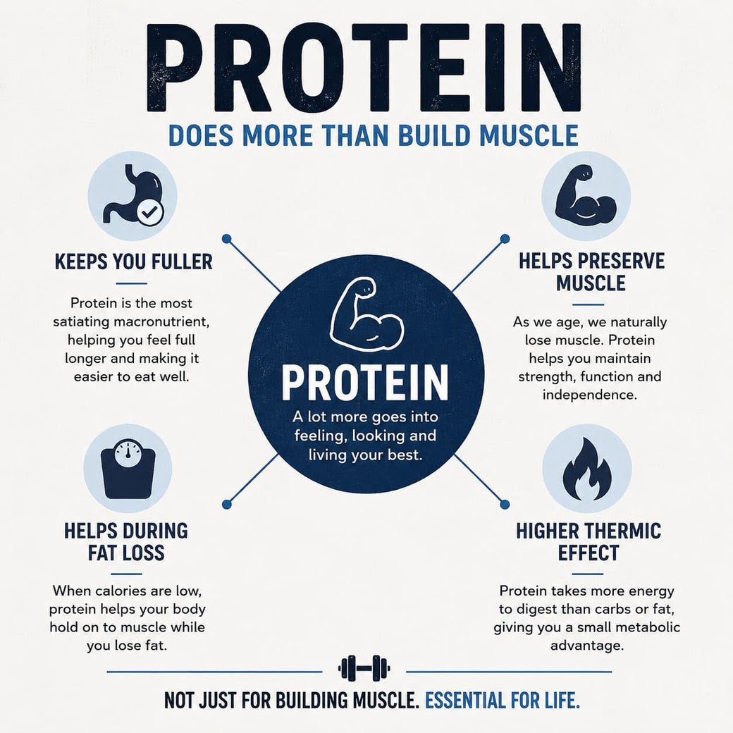 Protein does more than build muscle: it keeps you fuller, helps preserve muscle, helps during fat loss, and has a higher thermic effect.