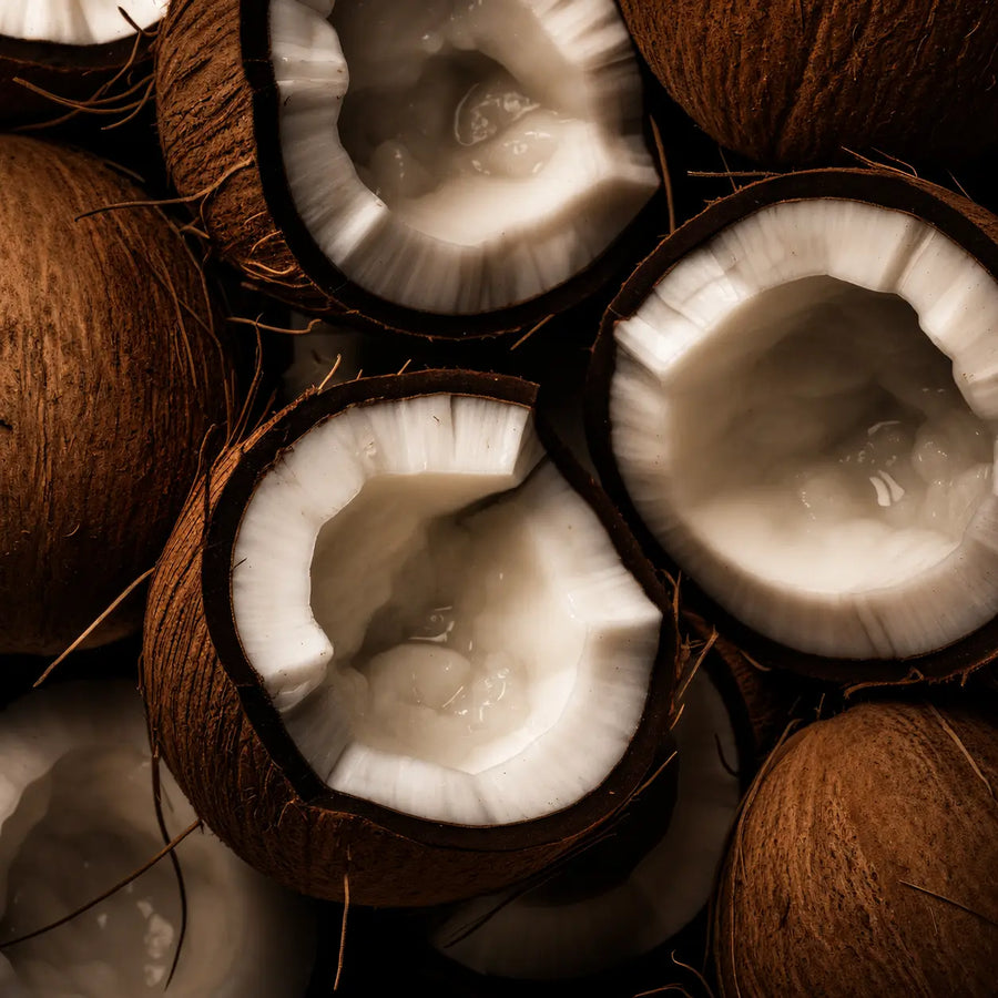 Coconut Water Powder
